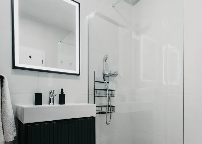 Apartment Le Lys Dor With Private Parking *